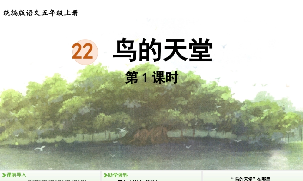 24人教统编版小学五年级语文上册第七单元22.鸟的天堂第1课时  课件