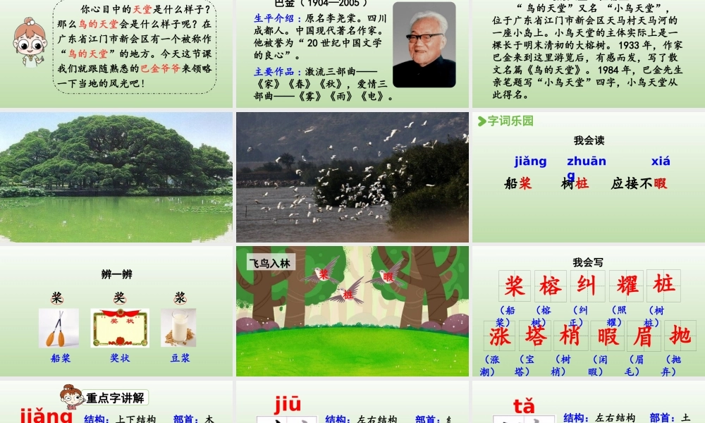 24人教统编版小学五年级语文上册第七单元22.鸟的天堂第1课时  课件
