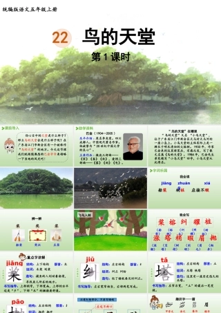 24人教统编版小学五年级语文上册第七单元22.鸟的天堂第1课时  课件