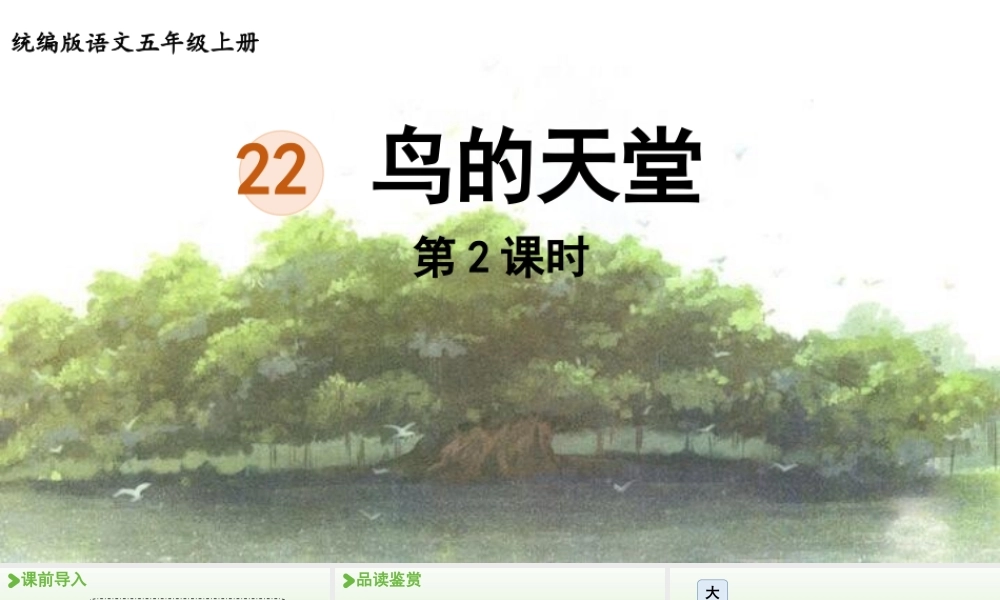 24人教统编版小学五年级语文上册第七单元22.鸟的天堂第2课时  课件