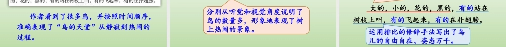 24人教统编版小学五年级语文上册第七单元22.鸟的天堂第2课时  课件