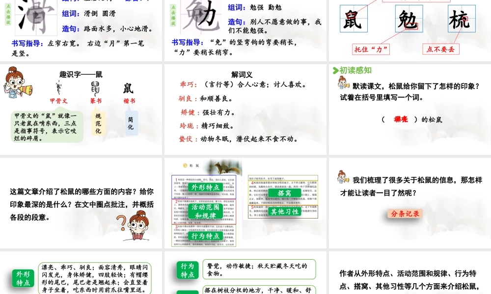 24人教统编版小学五年级语文上册第五单元17.松鼠第1课时  课件