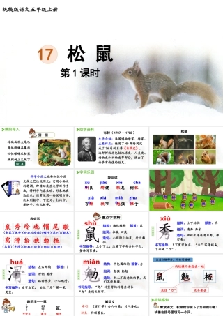 24人教统编版小学五年级语文上册第五单元17.松鼠第1课时  课件