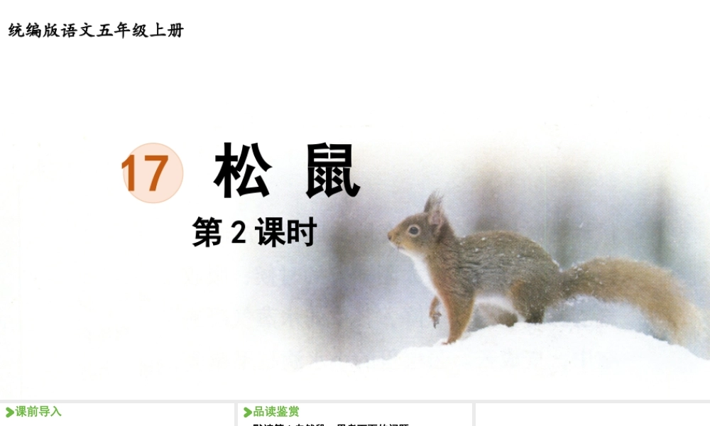 24人教统编版小学五年级语文上册第五单元17.松鼠第2课时  课件