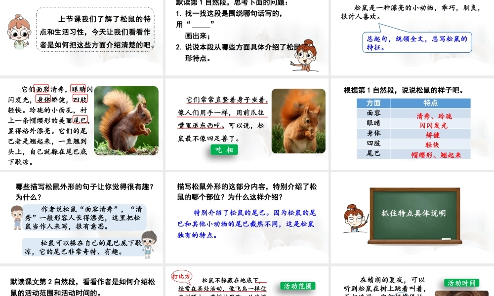 24人教统编版小学五年级语文上册第五单元17.松鼠第2课时  课件