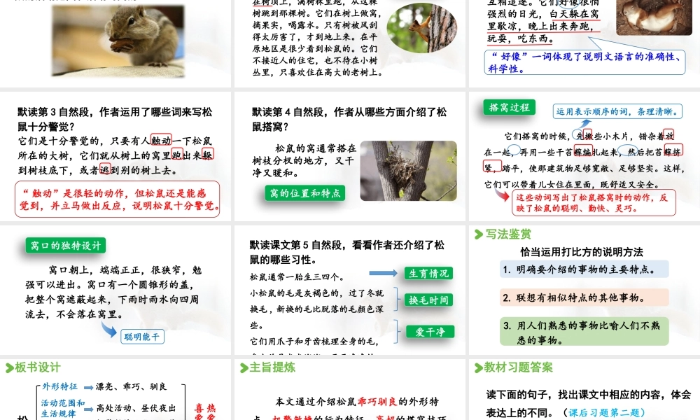 24人教统编版小学五年级语文上册第五单元17.松鼠第2课时  课件