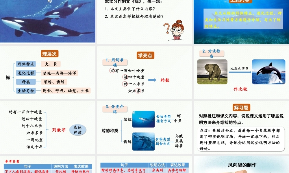 24人教统编版小学五年级语文上册第五单元习作例文与习作第1课时  课件