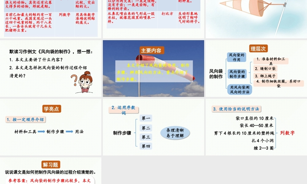 24人教统编版小学五年级语文上册第五单元习作例文与习作第1课时  课件
