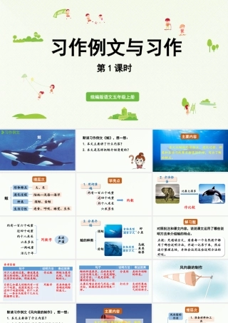24人教统编版小学五年级语文上册第五单元习作例文与习作第1课时  课件