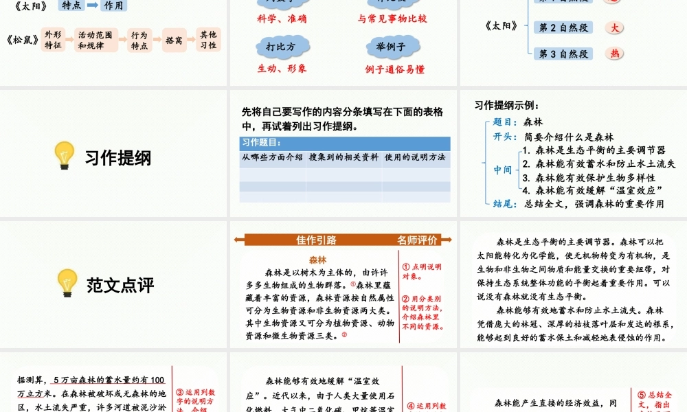 24人教统编版小学五年级语文上册第五单元习作例文与习作第2课时  课件