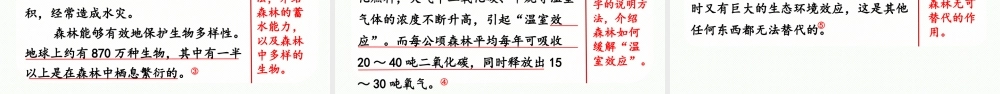 24人教统编版小学五年级语文上册第五单元习作例文与习作第2课时  课件