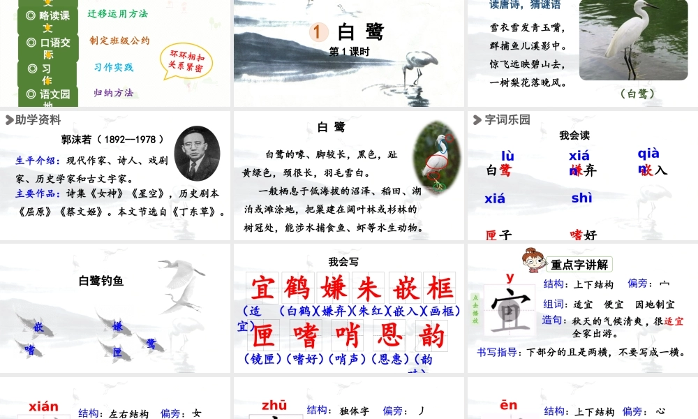24人教统编版小学五年级语文上册第一单元1.白鹭第1课时  课件