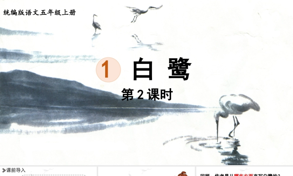 24人教统编版小学五年级语文上册第一单元1.白鹭第2课时  课件