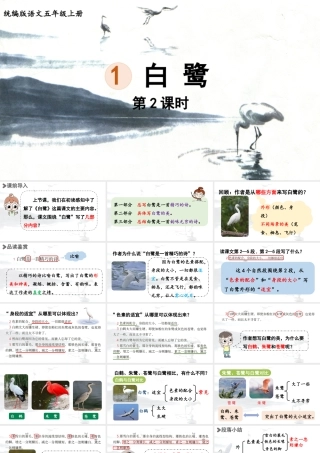 24人教统编版小学五年级语文上册第一单元1.白鹭第2课时  课件