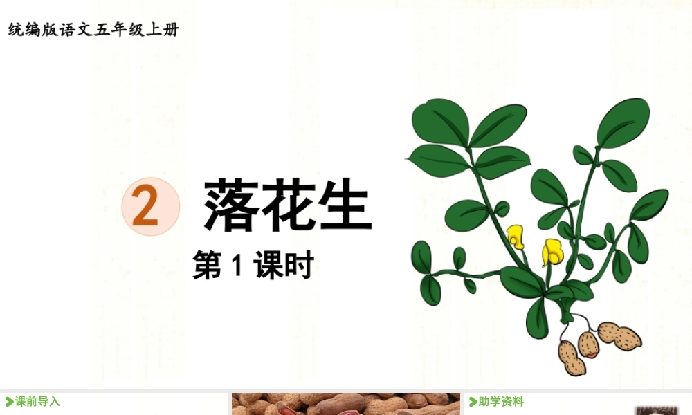 24人教统编版小学五年级语文上册第一单元2.落花生第1课时  课件