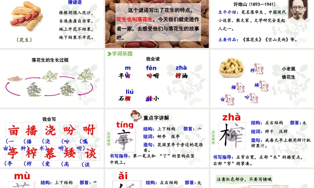 24人教统编版小学五年级语文上册第一单元2.落花生第1课时  课件