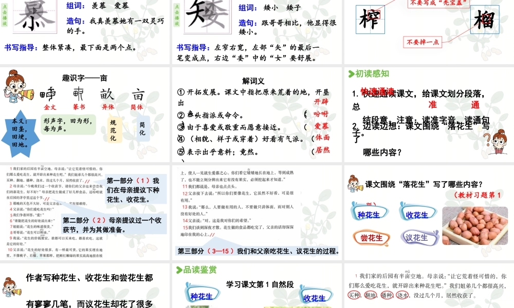 24人教统编版小学五年级语文上册第一单元2.落花生第1课时  课件