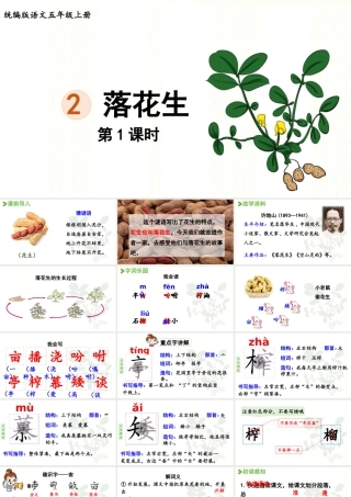 24人教统编版小学五年级语文上册第一单元2.落花生第1课时  课件