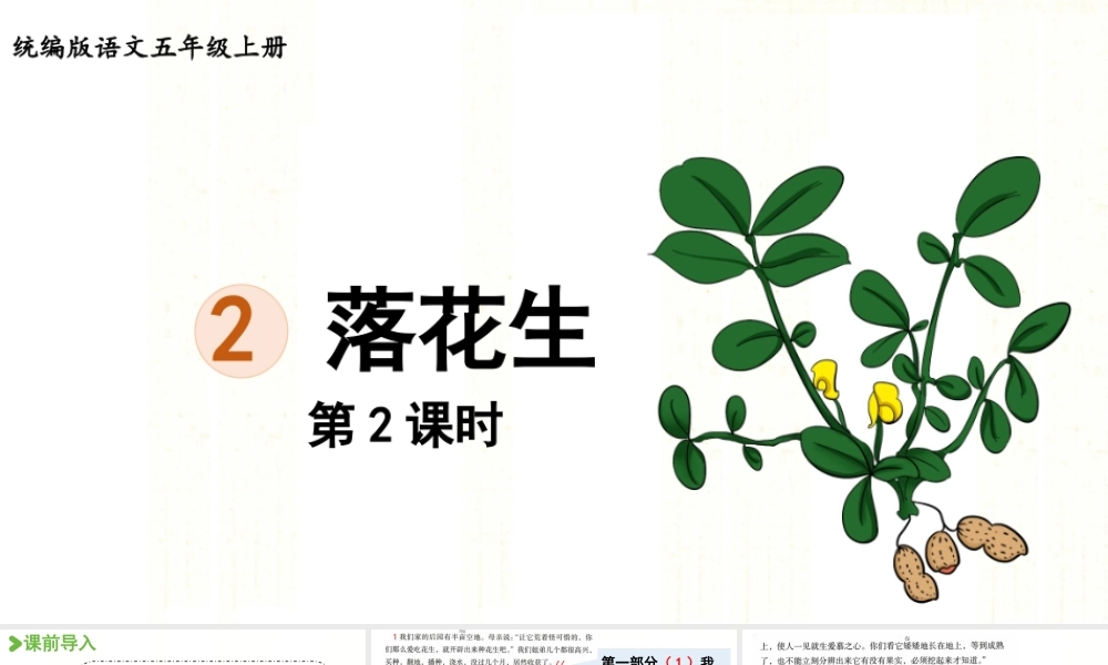 24人教统编版小学五年级语文上册第一单元2.落花生第2课时  课件