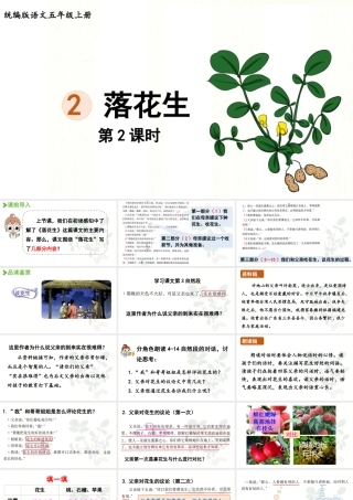 24人教统编版小学五年级语文上册第一单元2.落花生第2课时  课件