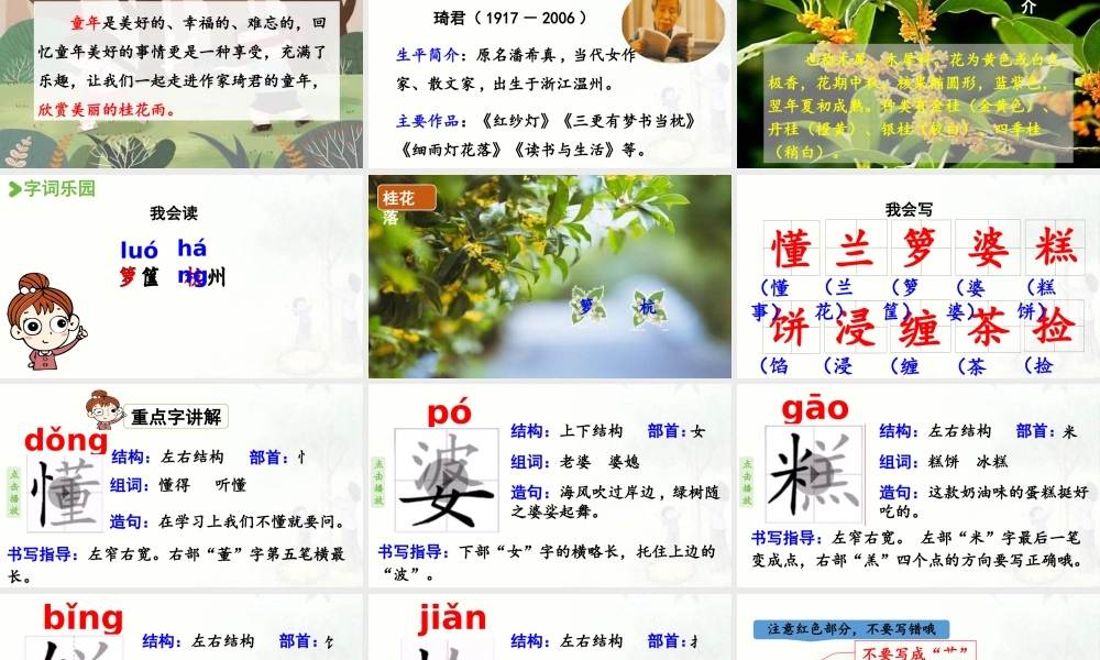 24人教统编版小学五年级语文上册第一单元3.桂花雨第1课时  课件
