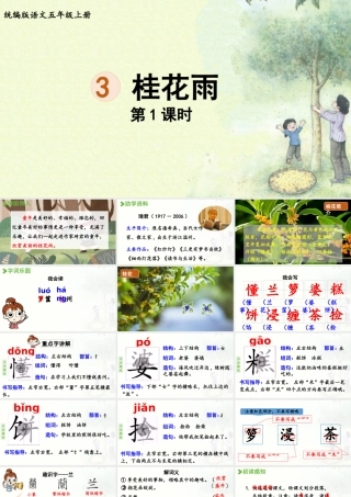 24人教统编版小学五年级语文上册第一单元3.桂花雨第1课时  课件