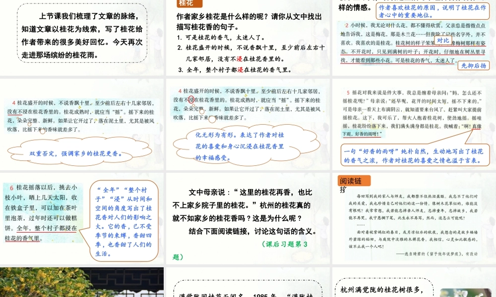 24人教统编版小学五年级语文上册第一单元3.桂花雨第2课时  课件