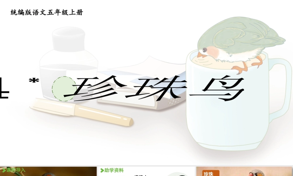 24人教统编版小学五年级语文上册第一单元4.珍珠鸟  课件
