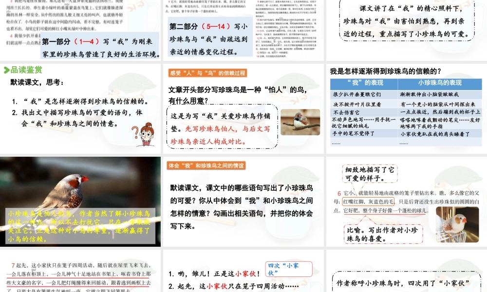 24人教统编版小学五年级语文上册第一单元4.珍珠鸟  课件