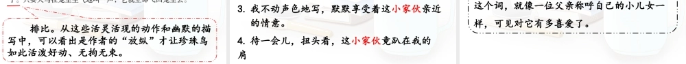 24人教统编版小学五年级语文上册第一单元4.珍珠鸟  课件