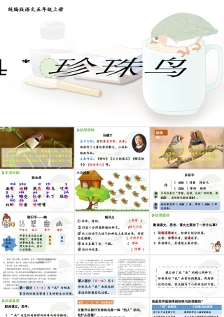 24人教统编版小学五年级语文上册第一单元4.珍珠鸟  课件