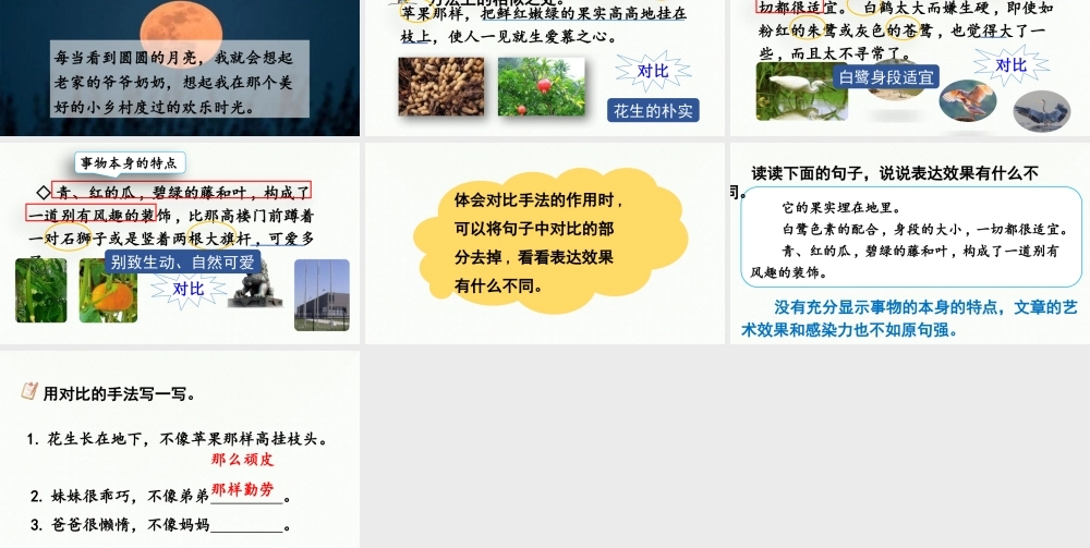 24人教统编版小学五年级语文上册第一单元语文园地第1课时  课件