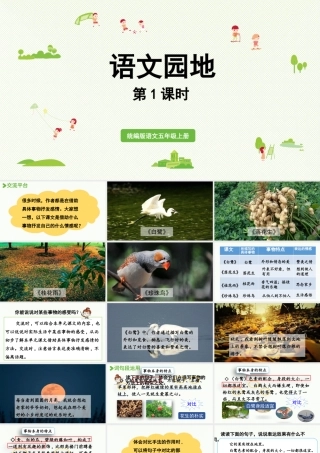 24人教统编版小学五年级语文上册第一单元语文园地第1课时  课件