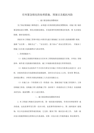 任何紧急情况的处理措施、预案以及抵抗风险