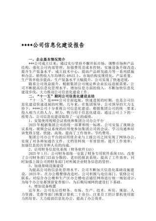 企业信息化建设报告