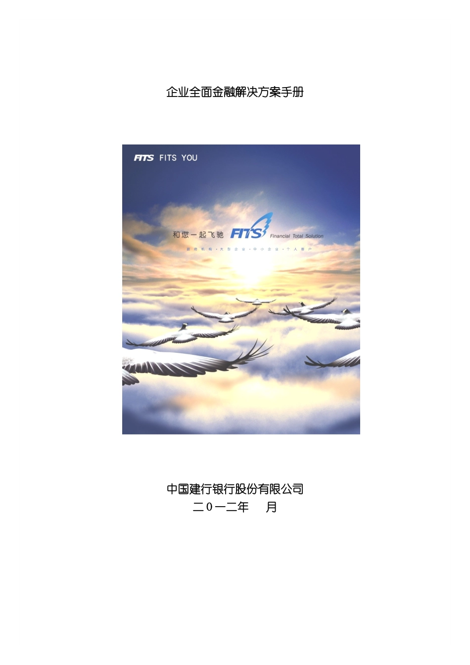 企业全面金融解决方案手册_第2页