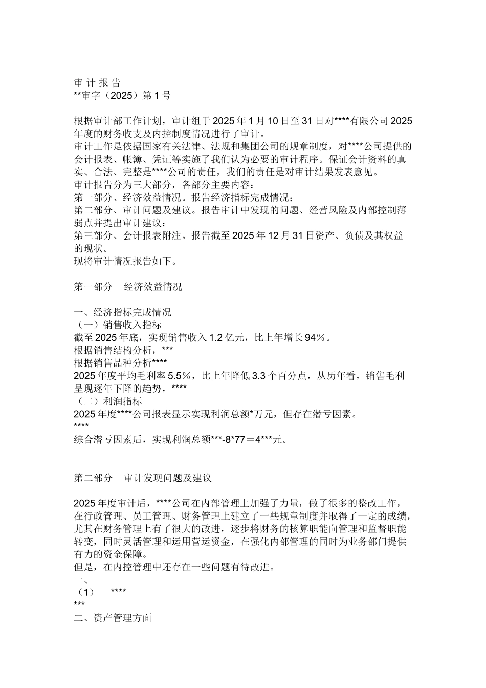 企业内部审计报告_第1页