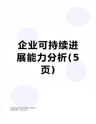 企业可持续发展能力分析