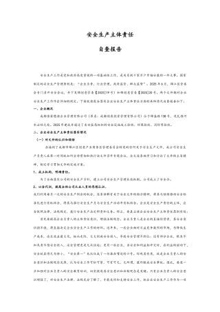 企业安全生产主体责任汇报材料
