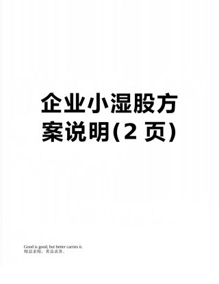 企业小湿股方案说明