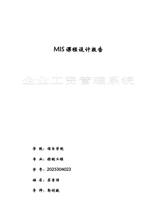 企业工资管理信息系统