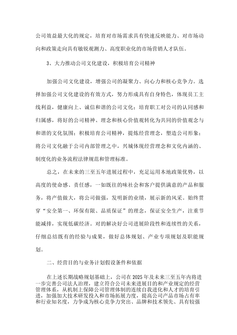 企业年发展规划_第2页