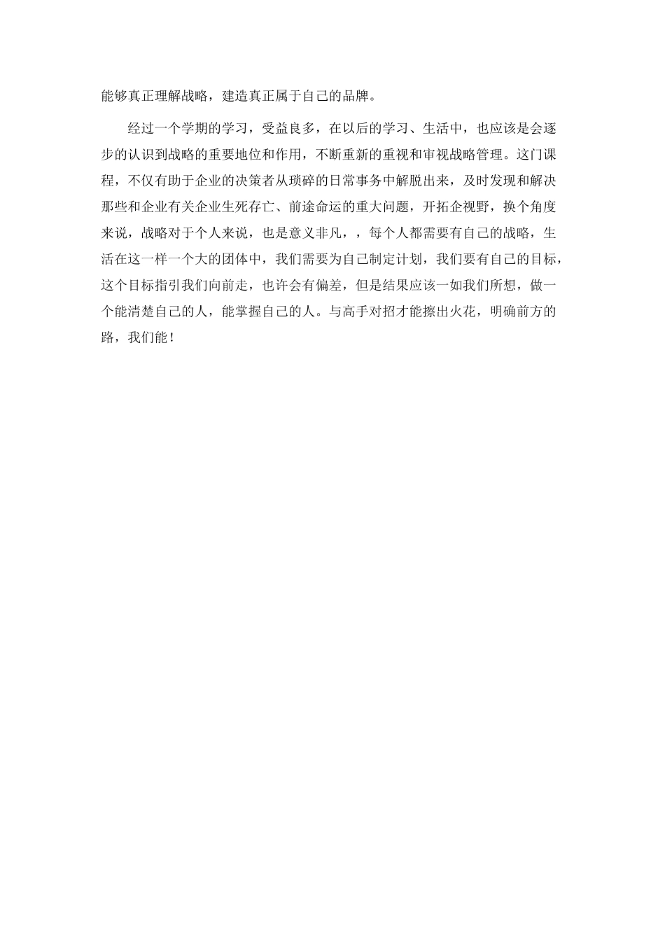 企业战略管理心得_第2页