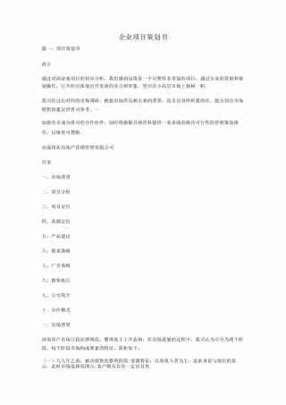 企业项目策划书