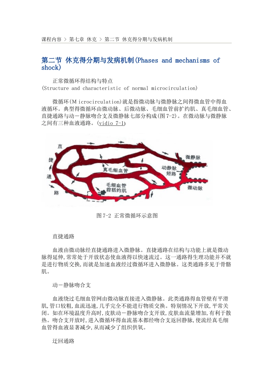 休克的分期与发病机制_第1页