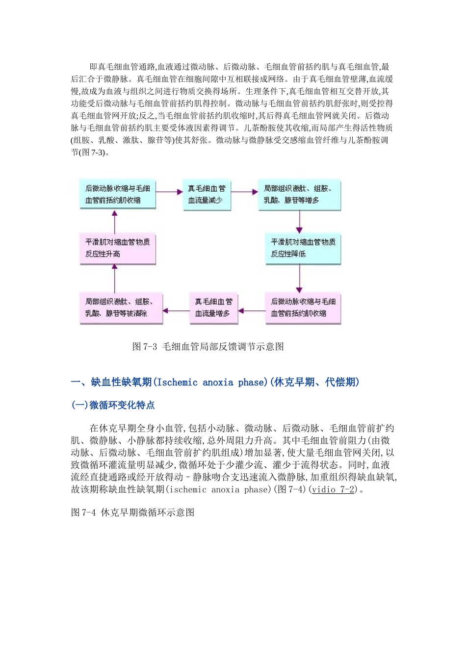 休克的分期与发病机制_第2页