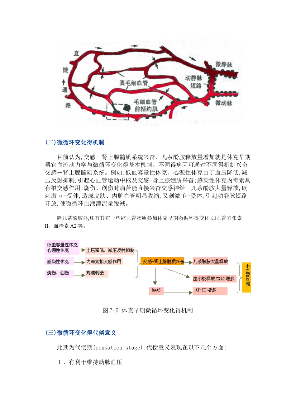 休克的分期与发病机制_第3页