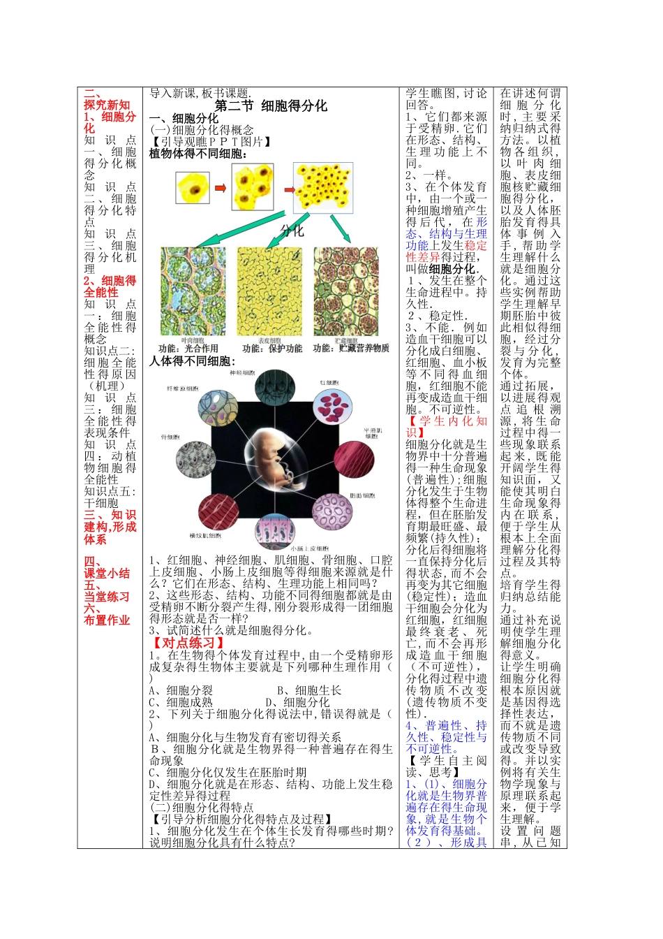 优秀教案细胞的分化_第3页