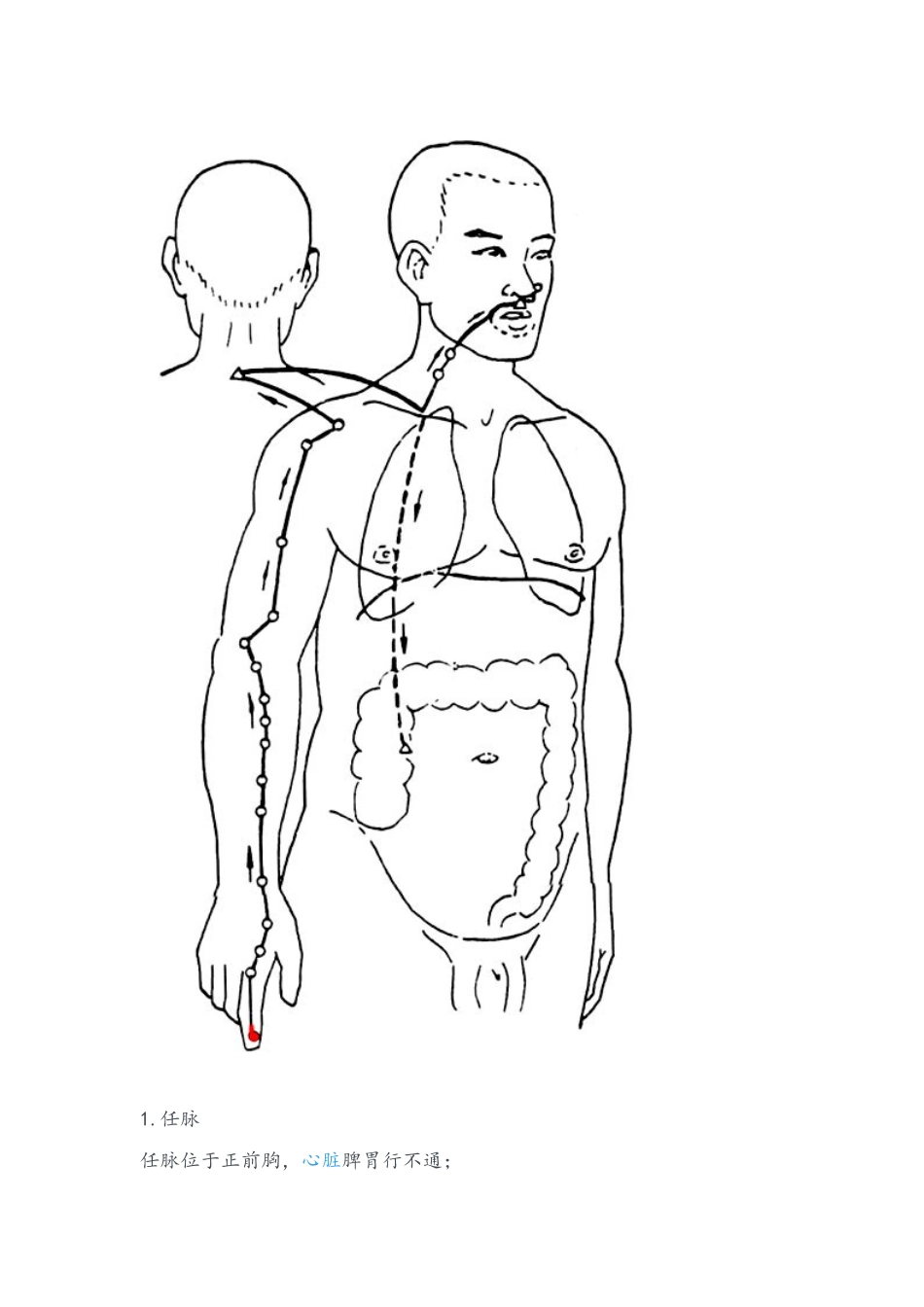 会动的经络图_第2页