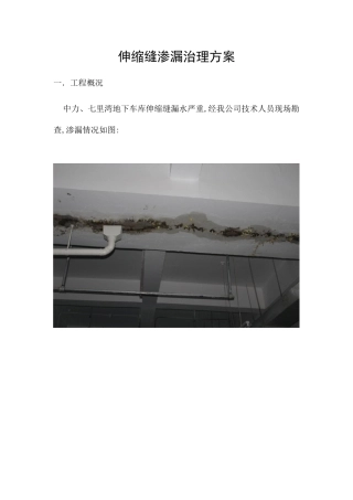 伸缩缝渗漏治理方案